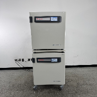 Thermo Scientific Heracell Vios 160i Doublestack CO2 Incubator image 0